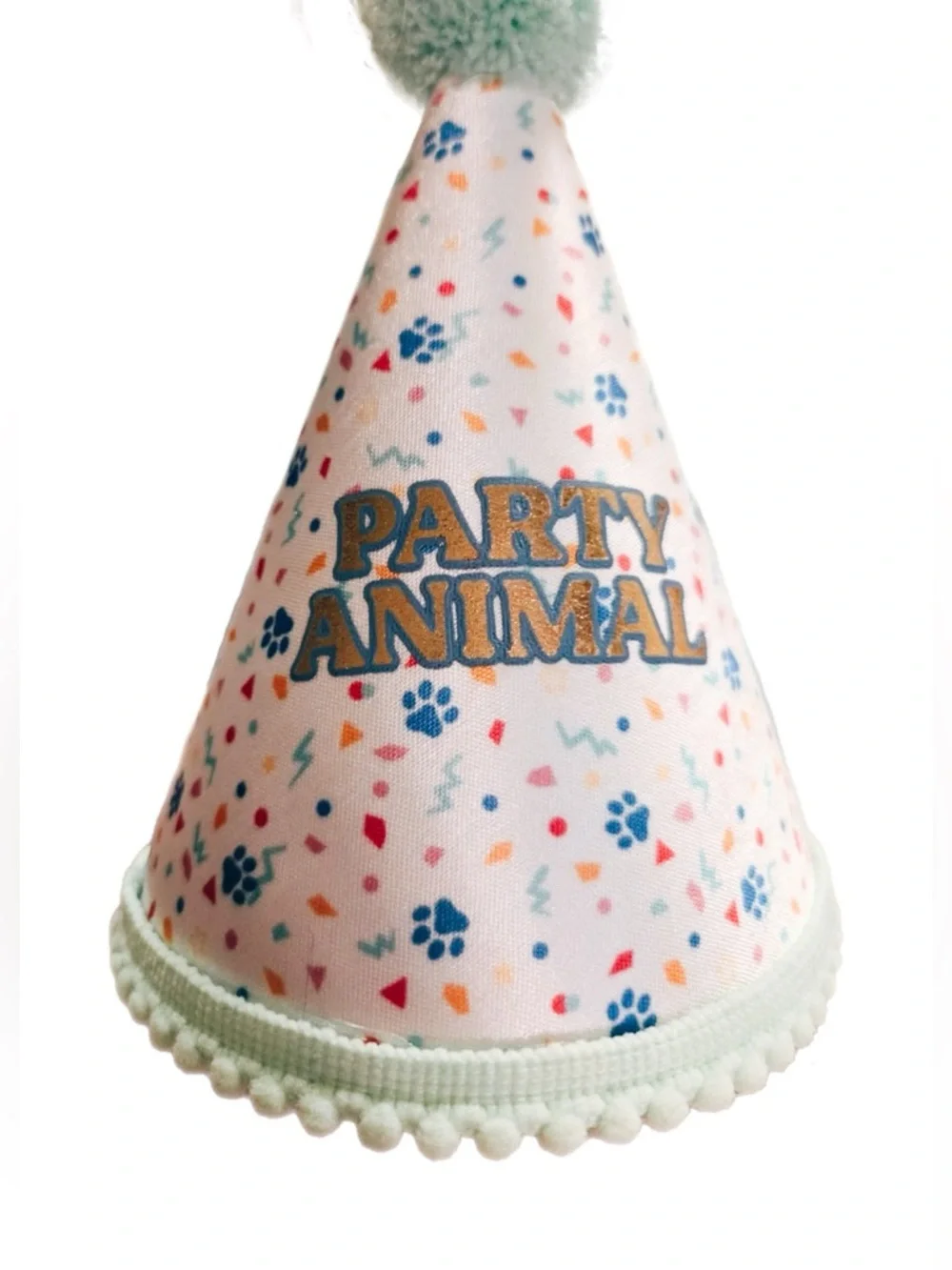Dog Party Animal Birthday Hat - Mint Pom Pom